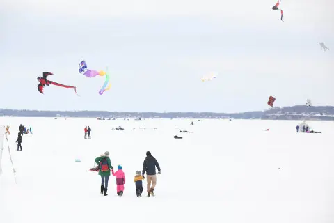 Frozen Assets Festival